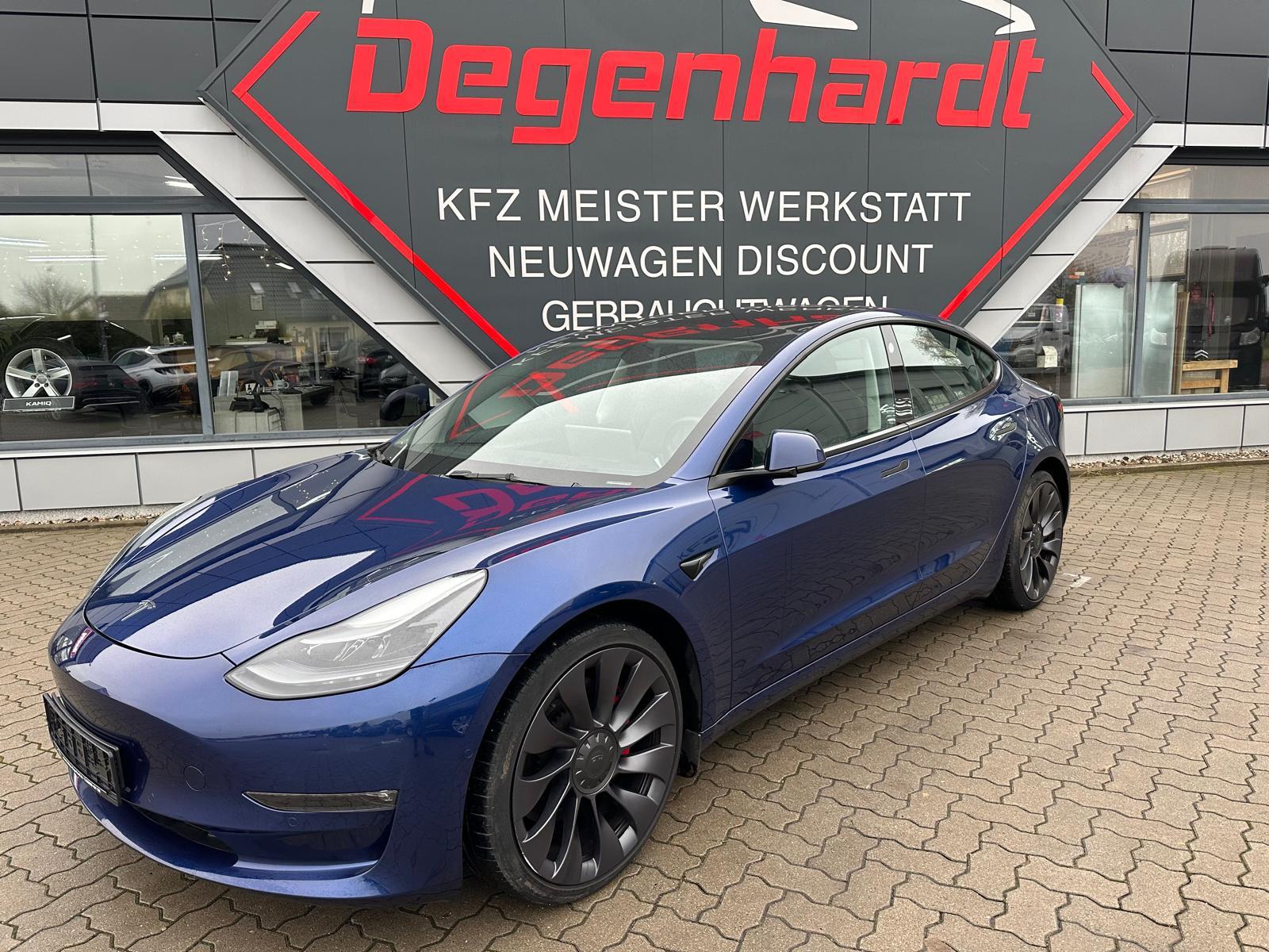 Tesla Model 3 Performance AWD Dual  Matrix