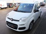 Fiat Panda Pop Klima 1. Hand - Fiat Panda: 1.1
