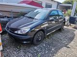Peugeot 206 grand filou - Peugeot 206: Grand Filou