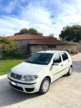 Fiat Punto 1.3 MJT EURO4 SOLO 109m KM UNICA LEGG - Fiat Punto: E10
