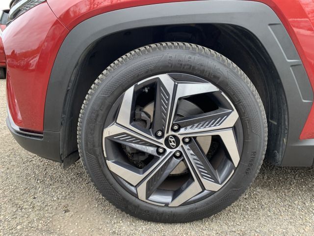 Fahrzeugabbildung Hyundai TUCSON 1.6 CRDi Prime 7-DCT Mild-Hybrid Assi ECS