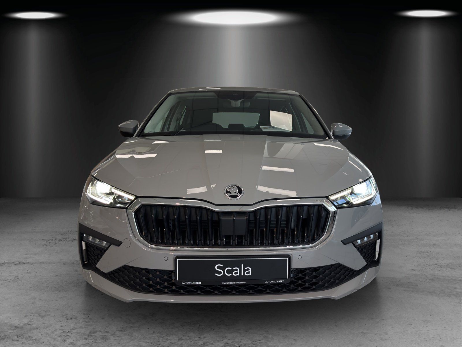 Fahrzeugabbildung SKODA Scala Tour 1,0 TSI 85 kW DSG