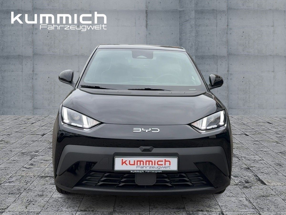 BYD DOLPHIN - Bild 2