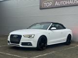 Audi A5 3.0 TDI Cabriolet quattro S line*BI-XENON/NAV - Audi A5 in Kassel