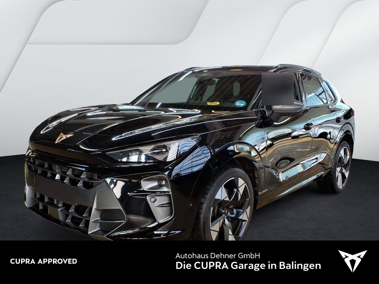 Cupra Terramar VZ 2.0 TSI DSG 4Drive PANO+AHK+SENNHEIS