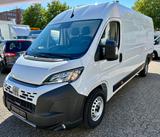 Fiat Ducato H2 Kastenwagen 35 L5H2 180 Multijet Maxi - Fiat Ducato: 2.5