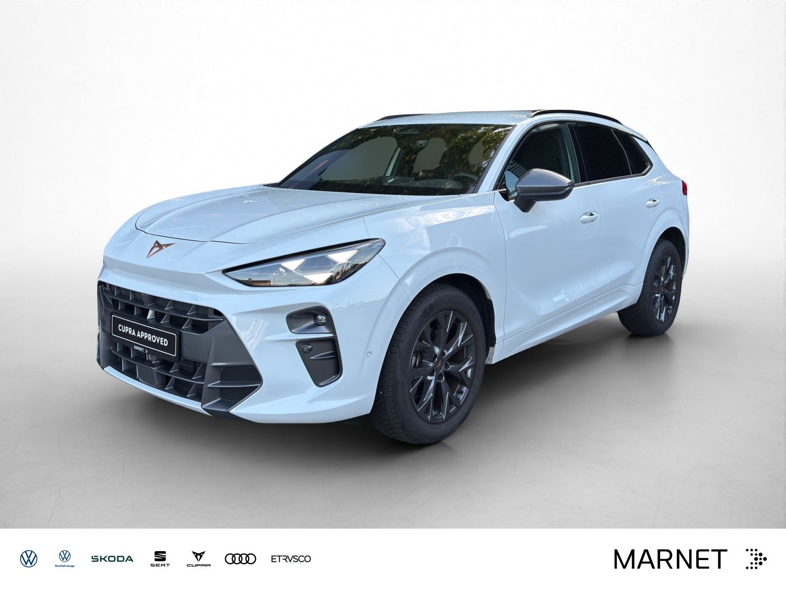 Cupra Terramar 1.5 TSI DSG Navi*Kamera*Matrix*Keyless*