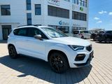 Cupra Ateca 2.0 TSI 4Drive +AHK+PANO+EL.SITZ - Cupra Ateca Gebrauchtwagen