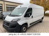 Fiat Ducato Kasten Multijet L4H2 NAVI/KAM/TEMPO/PDC - gebrauchte Fiat Ducato aus dem Jahr 2023