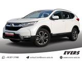 Honda CR-V Hybrid 2.0 Hybrid EXECUTIVE PANO+HEAD-UP - Honda CR-V Executive mit Hybrid-Antrieb (Benzin/Elektro)