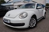 Volkswagen The Beetle 1.6 TDI DPF|2 HAND|SHZG|MULTIMEDIA| - Volkswagen Beetle: TDI