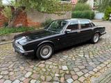 Jaguar XJ40 - Jaguar XJ40 Gebrauchtwagen