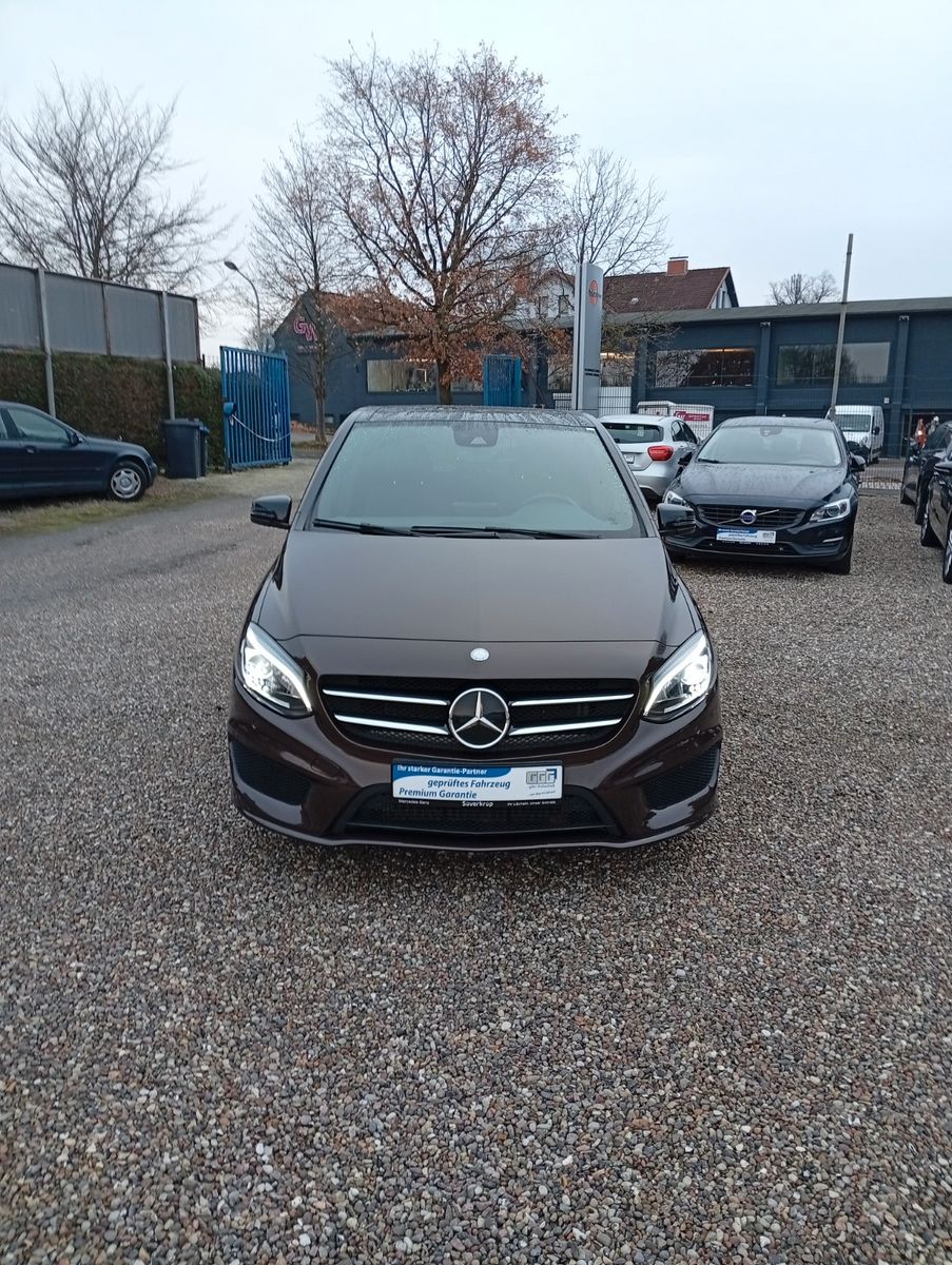 MERCEDES-BENZ B 250 AMG Line.Aut.Navi.Kam.panoram.Leder.AHK