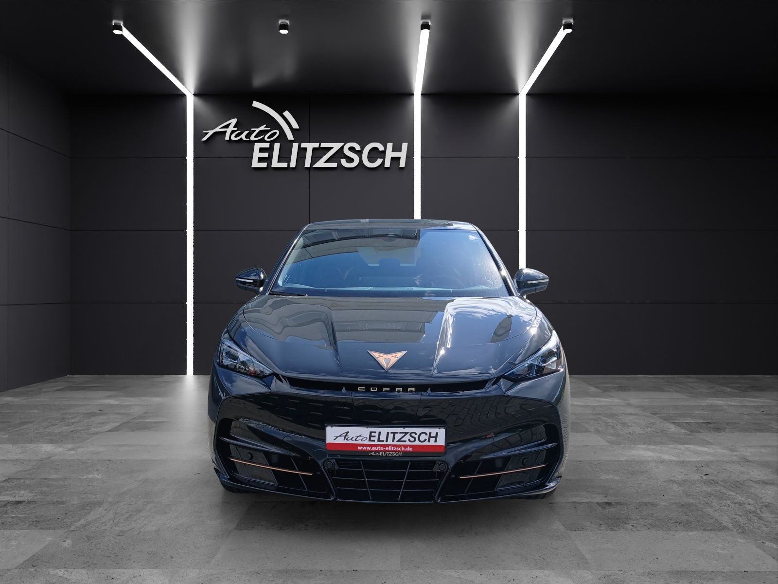 Fahrzeugabbildung CUPRA Tavascan VZ 4Drive BelowZero