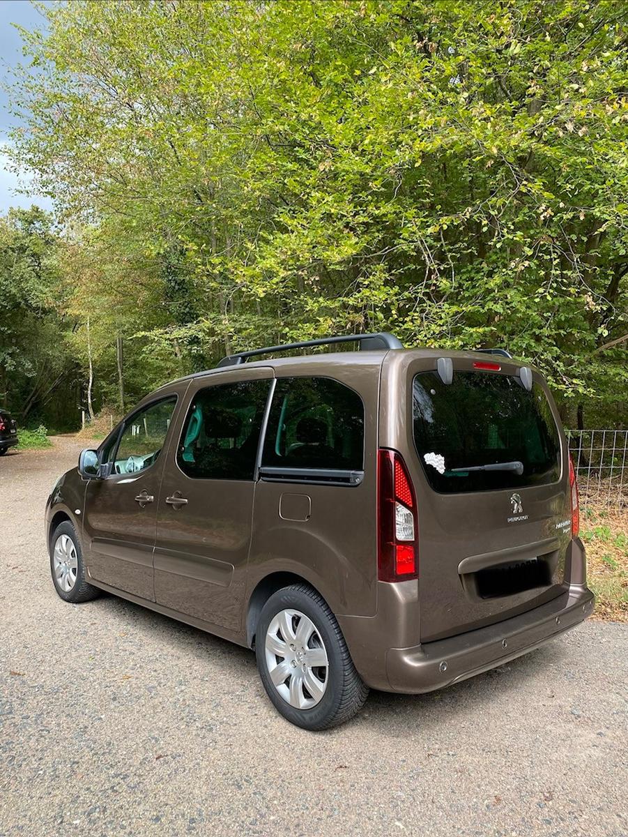 Peugeot Partner Tepee 120 VTi 1.6 Allure, Minicamper
