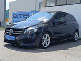 Mercedes-Benz B 250 4Matic AMG Panorama Sound Kamera SHZ LED - Mercedes-Benz in Tübingen