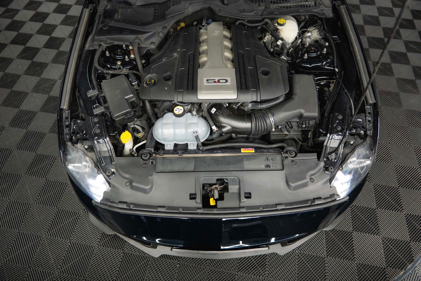 Fahrzeugabbildung Ford Mustang Shelby GT 500 5.0 V8 Performance PREMIUM