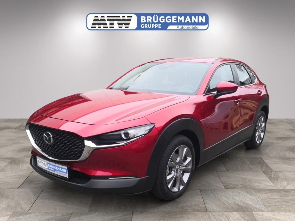 Mazda CX-30 AUTOMATIK MATRIX LED BOSE 360°KAMERA