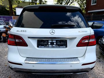 Mercedes ML 250 - 8
