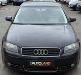 Audi A3*2.0*MOTOR LÄUFT UNRUHIG*KLIMA - Audi A3 aus 2003: 2.0