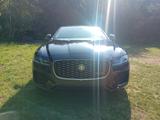 Jaguar XF P250 R-DYNAMIC SE Automatik R-DYNAMIC SE - Jaguar XF R mit Benzin-Antrieb