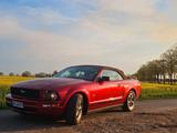 Ford Mustang Cabrio  - gebrauchte Ford Mustang aus dem Jahr 2005