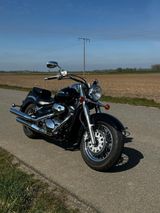 Suzuki VL 800 - Angebote entsprechen deinen Suchkriterien