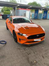 Ford Mustang 5.0 Ti-VCT V8 GT Auto GT  - Ford Mustang Gebrauchtwagen in Wuppertal