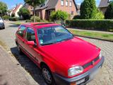 Volkswagen VW Golf3 Pink Floyd BJ 1994 60000km gut er... - Volkswagen Golf: 6er