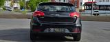 Kia cee'd / Ceed 1.6 EURO 6 Tempomat Multifunktionsl - Kia cee'd / Ceed in Düsseldorf