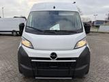 Opel Movano 2.2 BlueHDi 140 L3H2 VA - gebrauchte Opel Kleinbus