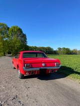 Ford FORD MUSTANG V8 Automatik Candy Apple Red - gebrauchte Ford Mustang aus dem Jahr 1966