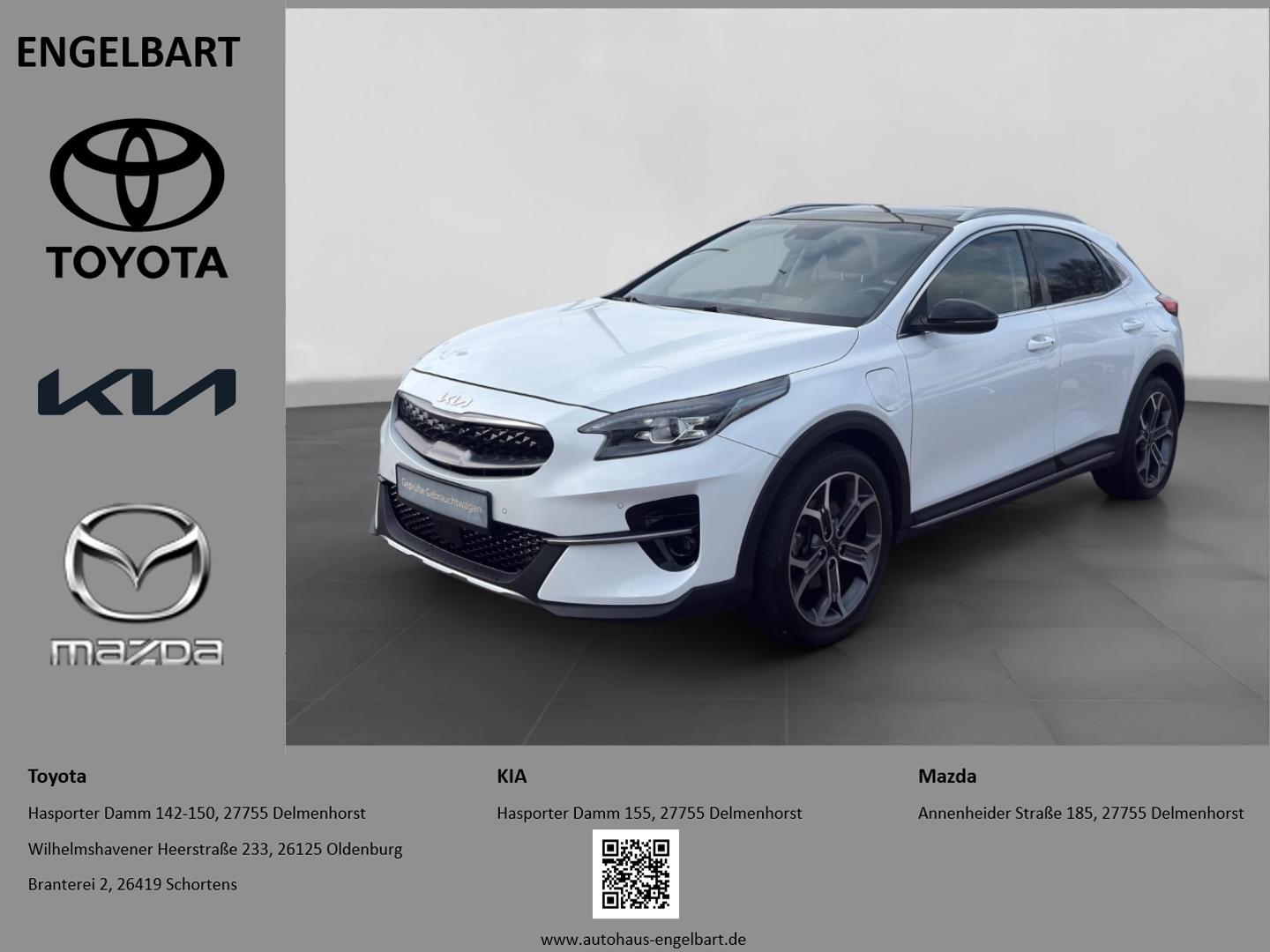 Kia XCeed Platinum Plug-in El. Panodach Navi Leder D
