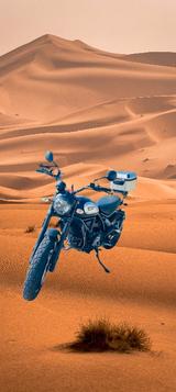 Ducati Scrambler ICON 800Dark Koffer/Topcase angemeldet - Offers