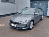 Skoda Octavia 2.0 TDI  DSG Selection AHK+KAM+ACC+17" - Skoda Octavia Tageszulassungen mit Diesel-Antrieb: Kombi