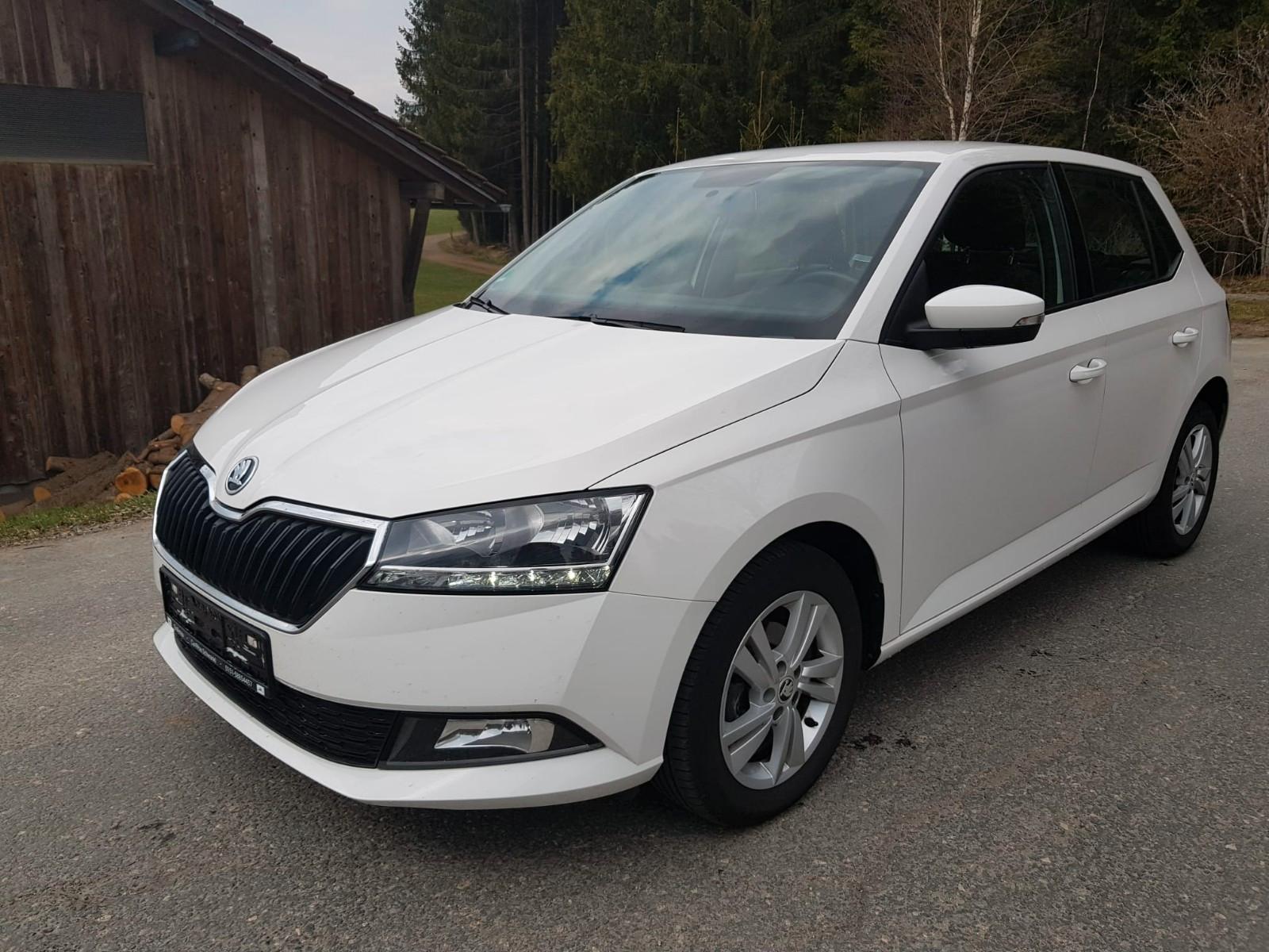 Skoda Fabia Ambition Sitzheizung,Klima,Kamera