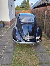 Volkswagen 1955er VW Käfer Ovali - Volkswagen Käfer mit Benzin-Antrieb: Ovali