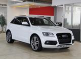 Audi SQ5 3.0 TDi COMPETiTiON *B&O*NAVi*21 - weiße Audi SQ5
