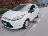 Ford Fiesta 1.4 TDCi 68CV 3 porte Van - Ford Fiesta aus 2010 mit Diesel-Antrieb