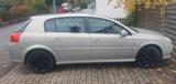 Opel Signum Edition Plus 1.9 CDTI 88kW Edition Plus - Opel Signum: 1.9