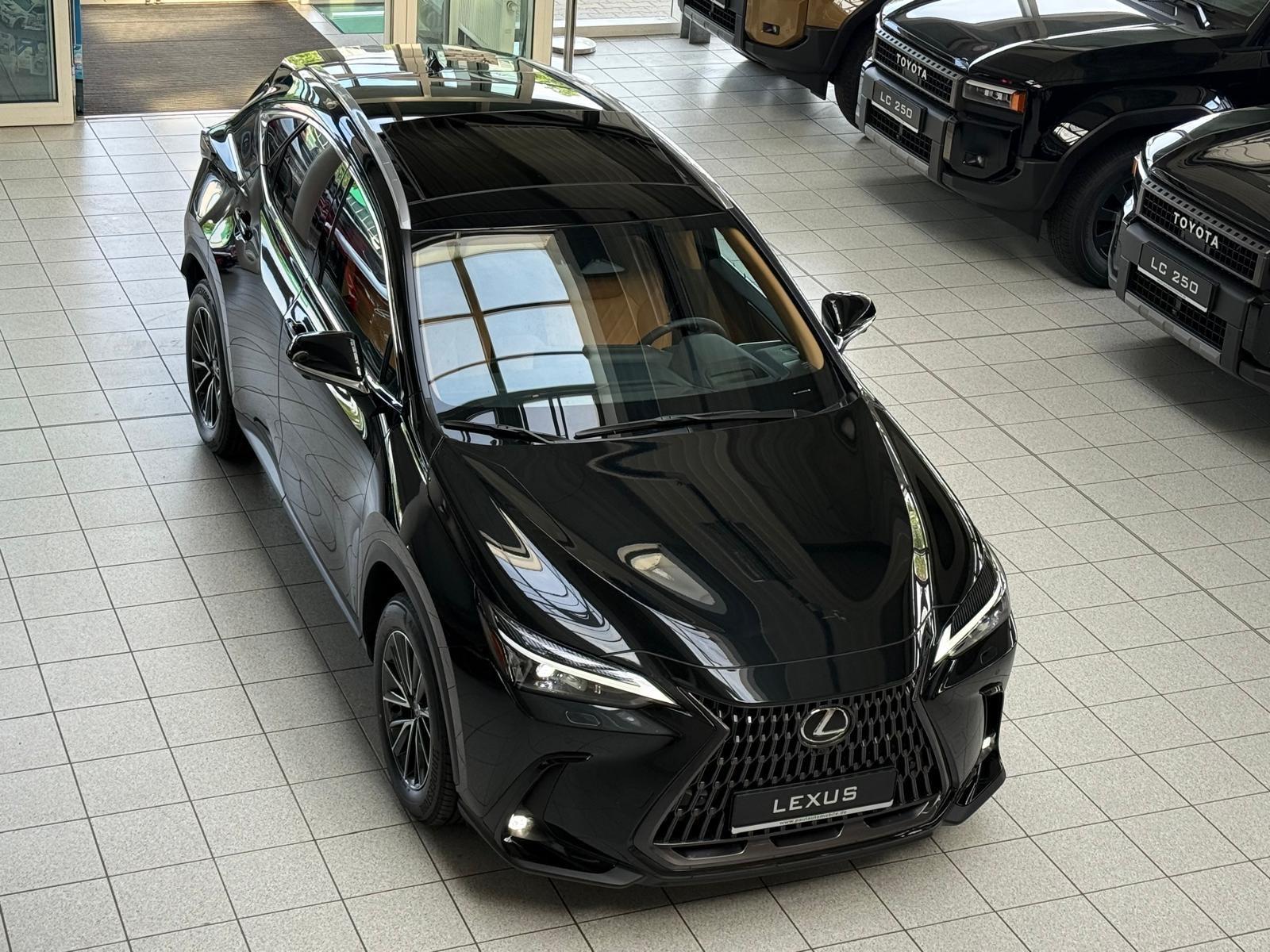 Lexus NX 450h+ 4 WD-EXECUTIVE-360 KAM.-PANORMA-HEAD UP