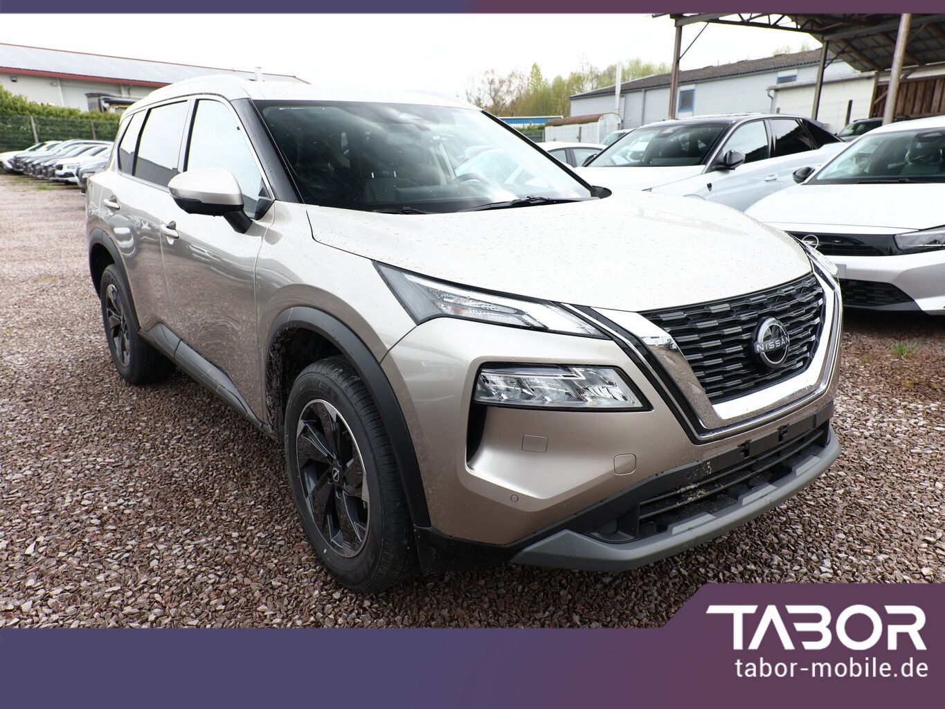 Nissan X-Trail - Bild 2