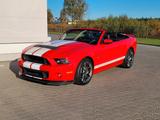 Ford Mustang GT500 SHELBY  5.8 20th anniversary - Ford Mustang: Cabrio, Shelby Gt500