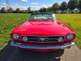 Ford Mustang Cabrio Restauriert  - Ford Mustang Oldtimer: Cabrio