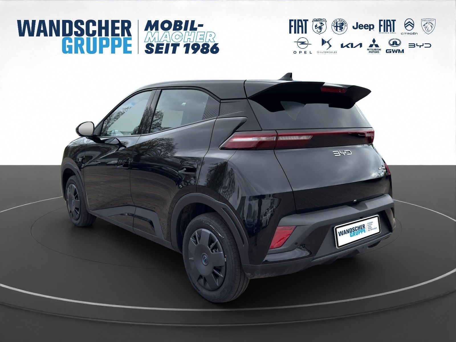 BYD DOLPHIN SURF