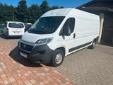 Fiat Ducato Grossr.-Kasten 35 150 L4H2 RS: 4035 mm+ - Fiat Ducato: L4