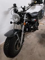 Skyteam T-Rex 125 ccm Black Edition, angemeldet - 125 CCM