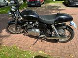 Triumph Thruxton 900 EFI, Phantom Black, TOP-ZUSTAND - TRIUMPH THRUXTON