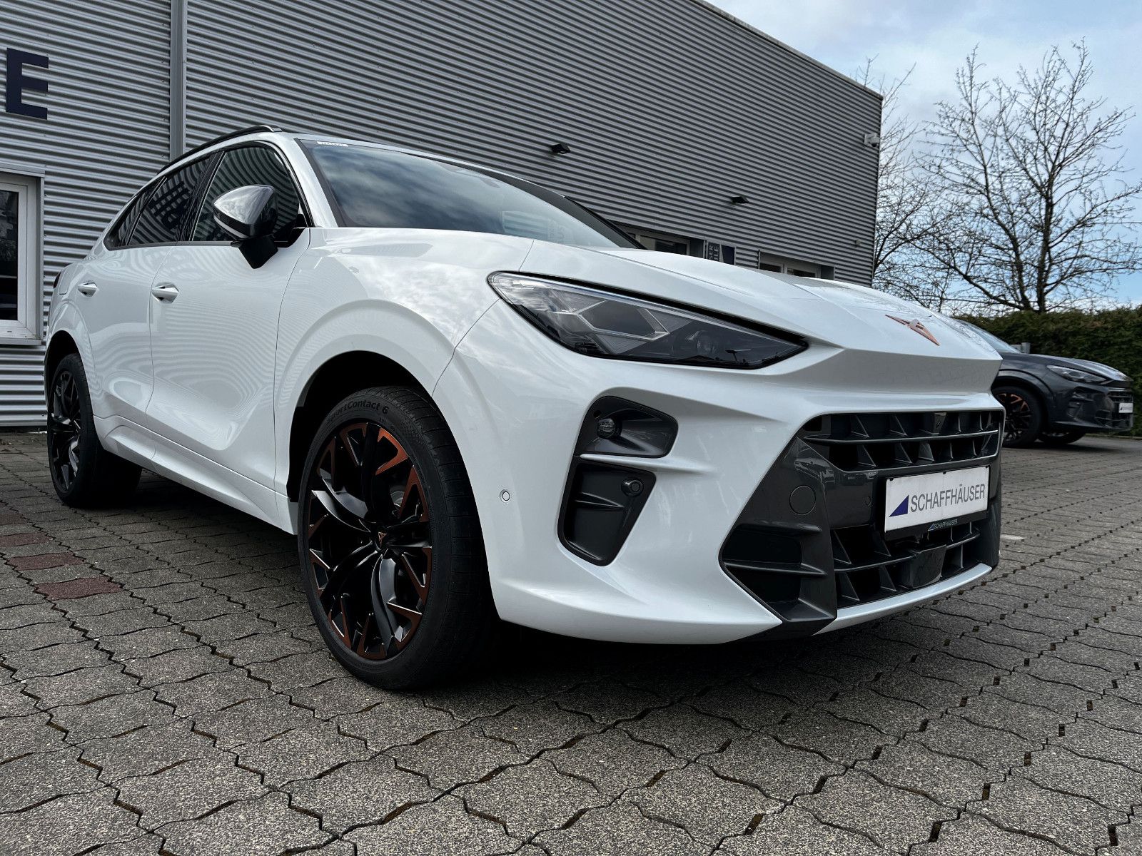 Fahrzeugabbildung CUPRA Terramar 2.0 TSI 4Drive VZ AHK PANO 20" SENN HUP