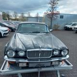 Jaguar XJ12 - schwarze Jaguar XJ12
